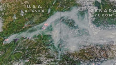 Mais de 100 incêndios "sem precedentes" deflagraram no Ártico - TVI