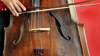 Morreu violoncelista pioneiro do resgate da música barroca - TVI