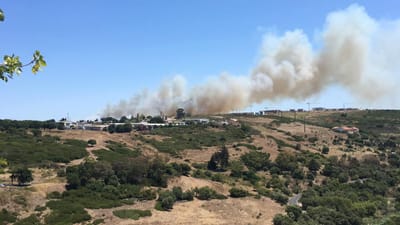 Incêndio em zona de mato de Queluz já está dominado - TVI