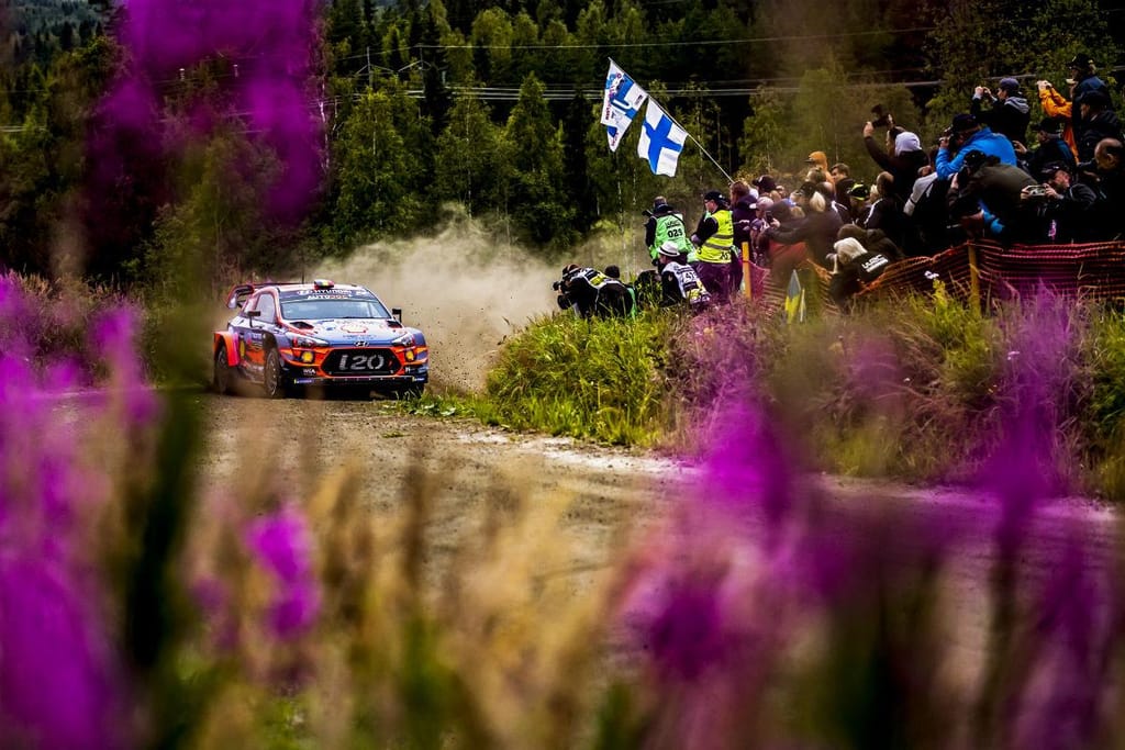 Thierry Neuville (Lusa)
