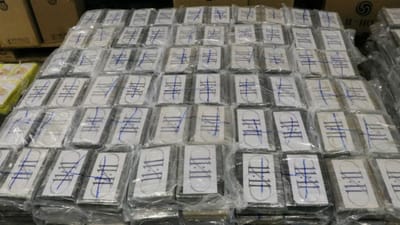 A maior apreensão de cocaína na Alemanha: 4,5 toneladas num contentor de "soja" - TVI