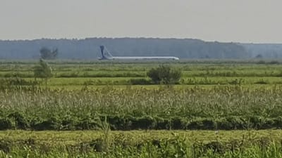 Avião aterra de emergência num campo depois de colidir com bando de pássaros - TVI