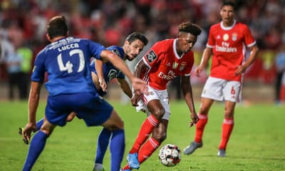 Benfica e Arsenal perto do acordo: Nuno Tavares pode render cerca de 10 milhões - TVI