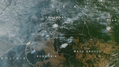 Incêndios na Amazónia veem-se do espaço e deixam São Paulo às escuras - TVI