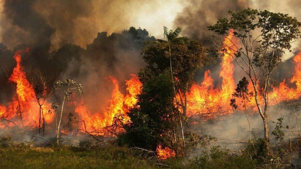 Incêndios na Amazónia