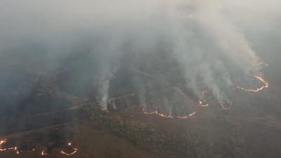 Brasil: quase quatro mil fogos começaram depois da proibição de queimadas - TVI