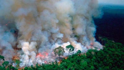 Macron pede ao G7 para discutir incêndios na Amazónia: “A nossa casa está a arder” - TVI