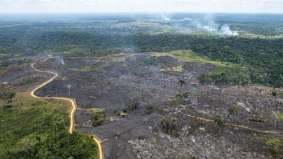 Jair Bolsonaro assina decreto para promover mineração na Amazónia. Ambientalistas falam de "ameaça" à floresta - TVI