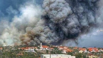 Incêndio em Fátima em fase de resolução - TVI