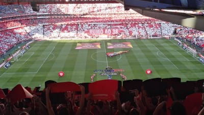 Benfica quer cachecóis dos sócios nas bancadas da Luz - TVI