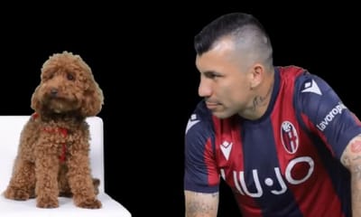 VÍDEO: Bolonha oficializa «pitbull» Medel ao lado de... um caniche - TVI