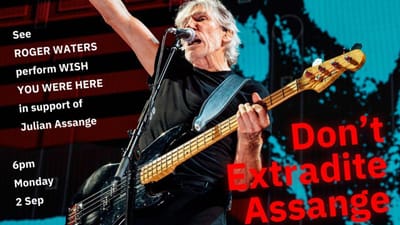 Roger Waters canta 'Wish You Were Here' em apoio a Julian Assange - TVI