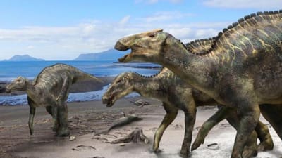 Descoberto novo dinossauro no Japão - TVI