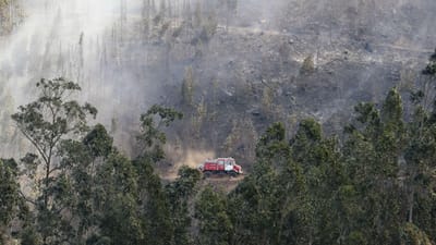 Mais de dois mil hectares ardidos em Castro Verde - TVI