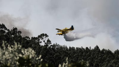 Avaliação ao maior incêndio de 2019 aponta falha na mobilização dos meios aéreos - TVI