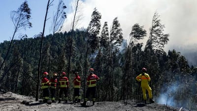 Proteção civil alerta para risco de incêndio provocado por trovoada seca - TVI
