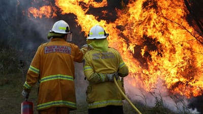 Empregado de limpeza suspeito de atear fogos em Penedono e Sernancelhe - TVI