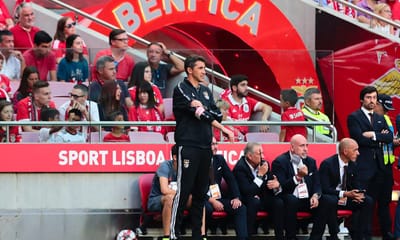 Benfica: David Tavares chamado para a receção ao Leipzig - TVI