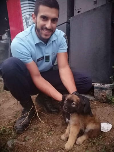 Militar da GNR resgata e adota cão bebé abandonado - TVI