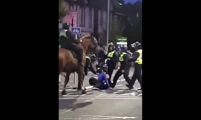 VÍDEO: adepto detido após... agredir cavalo da polícia - TVI