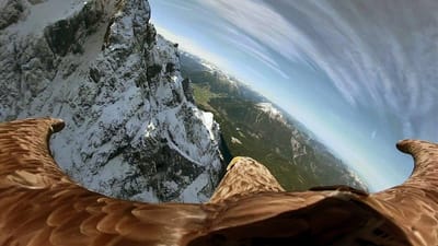 VÍDEO: o impacto do aquecimento global nos Alpes pelos olhos de uma águia - TVI