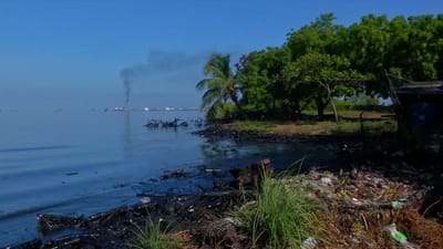 Derrame de crude está a chegar a mais de 130 praias brasileiras - TVI