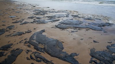 Derrame de crude atinge quase 200 praias do Brasil - TVI