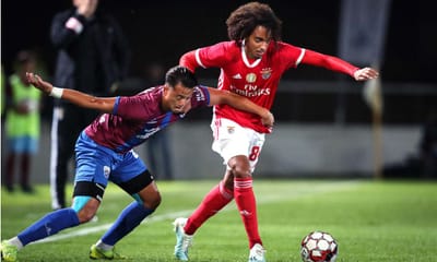 Cova da Piedade agradece ao Benfica receita do jogo da Taça - TVI