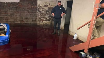 Fuga de armazém de carne deixa casa de vizinho inundada de sangue - TVI