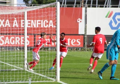 VÍDEO: Benfica perde com o Lyon na Youth League - TVI