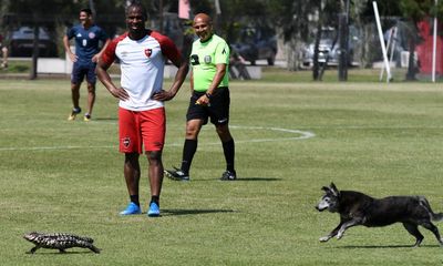 FOTO: Luís Leal vê jogo interrompido... por cão a perseguir lagarto - TVI