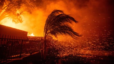 Vento volta a dificultar combate às chamas na Califórnia - TVI