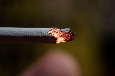 Fumar vai ficar mais caro e selo muda de cor - TVI