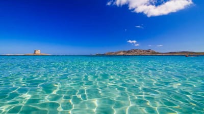 Quem apanhar conchas na praia  da Sardenha arrisca-se a ser multado - TVI