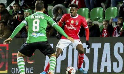 Benfica e Sporting multados por comportamento dos adeptos na Taça da Liga - TVI
