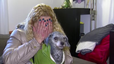 Dona reencontra cão que esteve desaparecido quase cinco anos - TVI