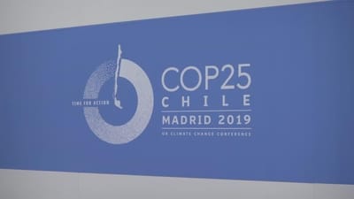 COP25: Discórdia sobre falta de ambição divide plenário de conferência do clima - TVI