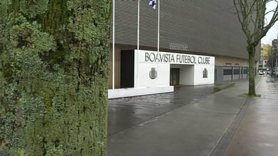 Sete arguidos em processo de branqueamento de milhões que envolve SAD do Boavista - TVI