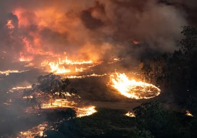 Termómetros chegam aos 48,9 graus e chamas fazem mais um morto na Austrália - TVI