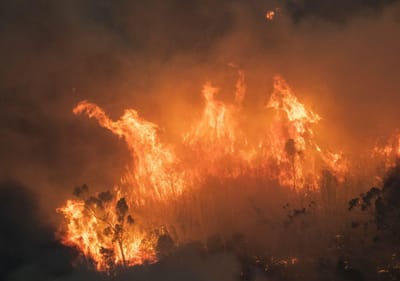 Sporting deixa mensagem a australianos que enfrentam grandes fogos - TVI