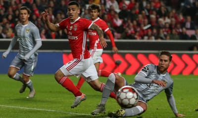 Benfica nega ilegalidades nos contratos com Desp. Aves - TVI