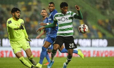 VÍDEO: o resumo do Sporting-Marítimo - TVI