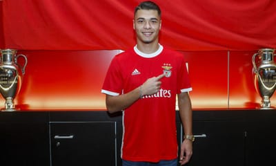 OFICIAL: Benfica contrata Diogo Almeida ao P. Ferreira - TVI