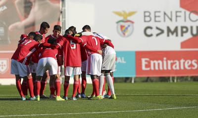 O processo da «equipa sombra» nas contratações do Benfica - TVI
