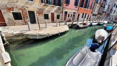 Veneza está mais limpa depois da quarentena e há imagens a prová-lo - TVI