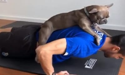 VÍDEO: Diogo Costa faz flexões com o «cãopanheiro» às costas - TVI
