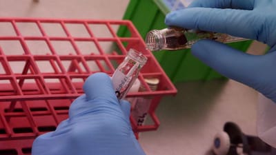 Covid-19: OMS aconselha prudência no uso de testes serológicos para concluir sobre imunidade - TVI