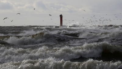 Aviso amarelo em toda a costa portuguesa devido à agitação marítima - TVI