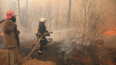 Portugal entre países da União Europeia que menos gastam com proteção contra incêndios - TVI