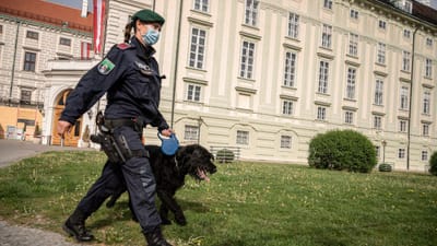 Áustria: ameaça de bomba obriga à evacuação da sede da presidência - TVI